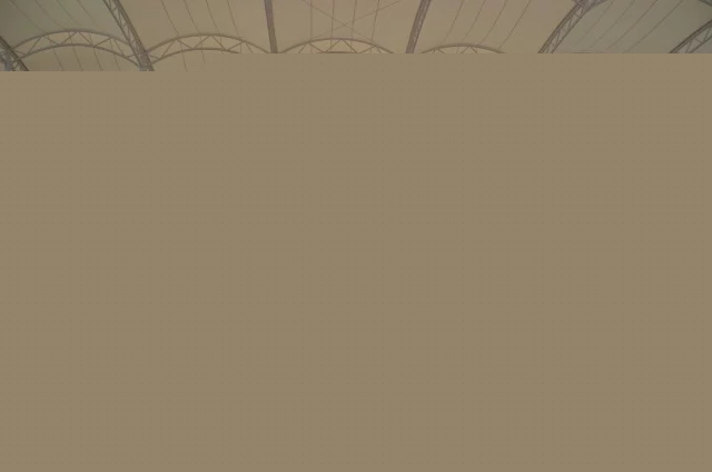 合影留念